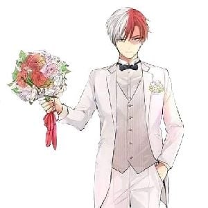 Shota Todoroki