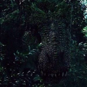 I REX (HEMBRA)