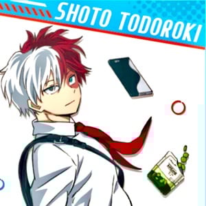 Shoto Todoroki (Twin-Brother)