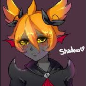 Shadow