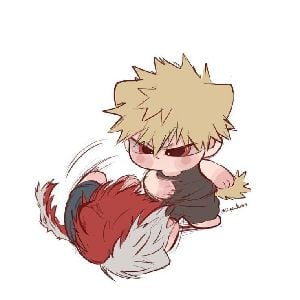 ☆Shoto and Bakugou☆