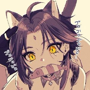 ★xiao-gato★