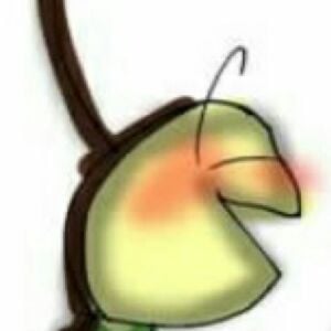 cucarachoxi (nsfw)