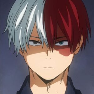Shota Todoroki