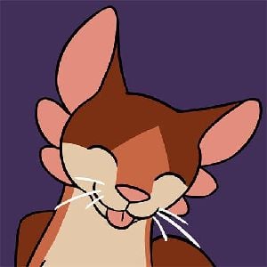 Amaru (Your little cat)