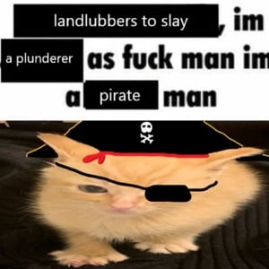 Pirate cat