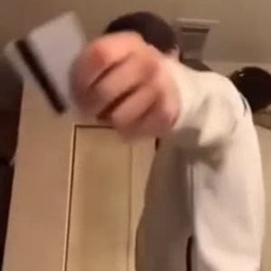 类目