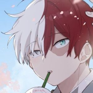 Shoto Todoroki