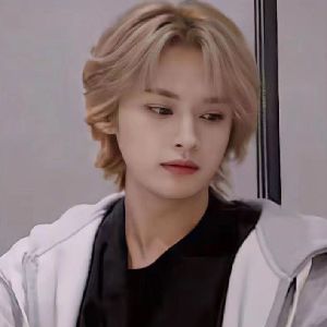 Minho (Lee know)
