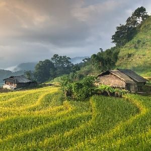 Peasants RPG