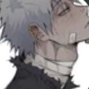 Toya todoroki
