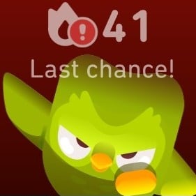 Duolingo