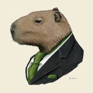 don capibara