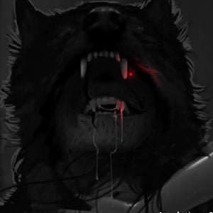 K0nig_gameW