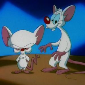 Pinky and the Brain