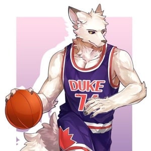 James(gay|furry)