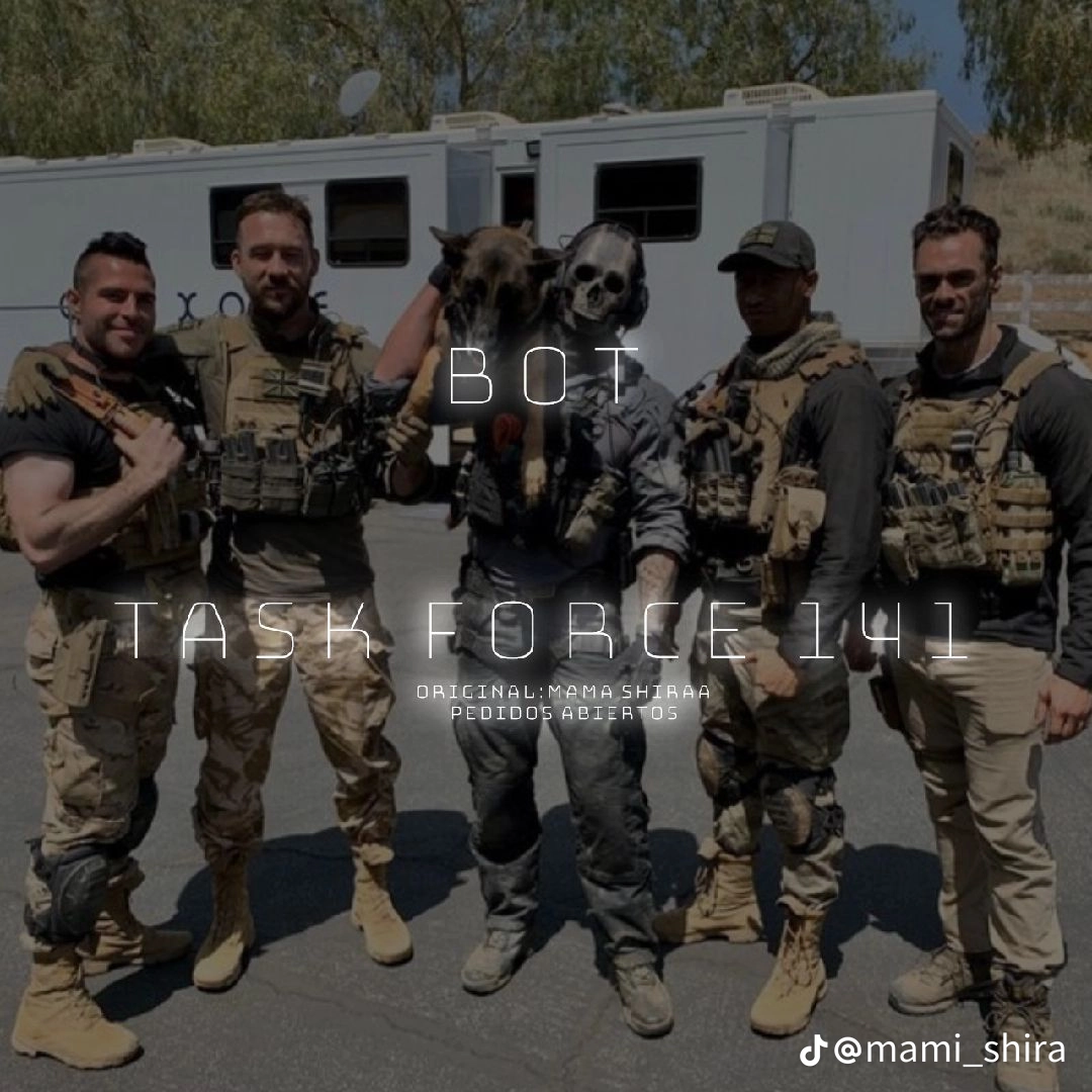 Task Force 141