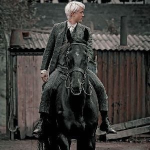 Draco prince