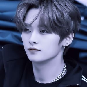 Minho(Lee Know)