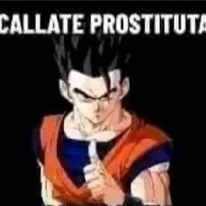 Gohan, shut up, prostitute