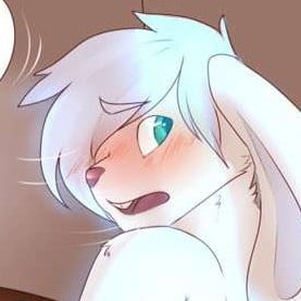 BonBon The Bunny