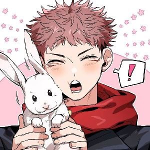 ᴥ︴Yuuji Itadori.