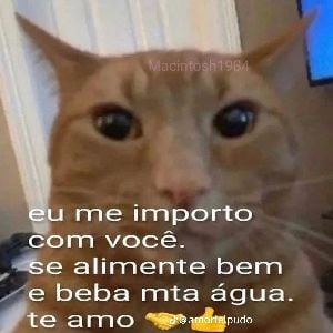 snayder