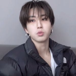 ☆Han Jisung ❄~