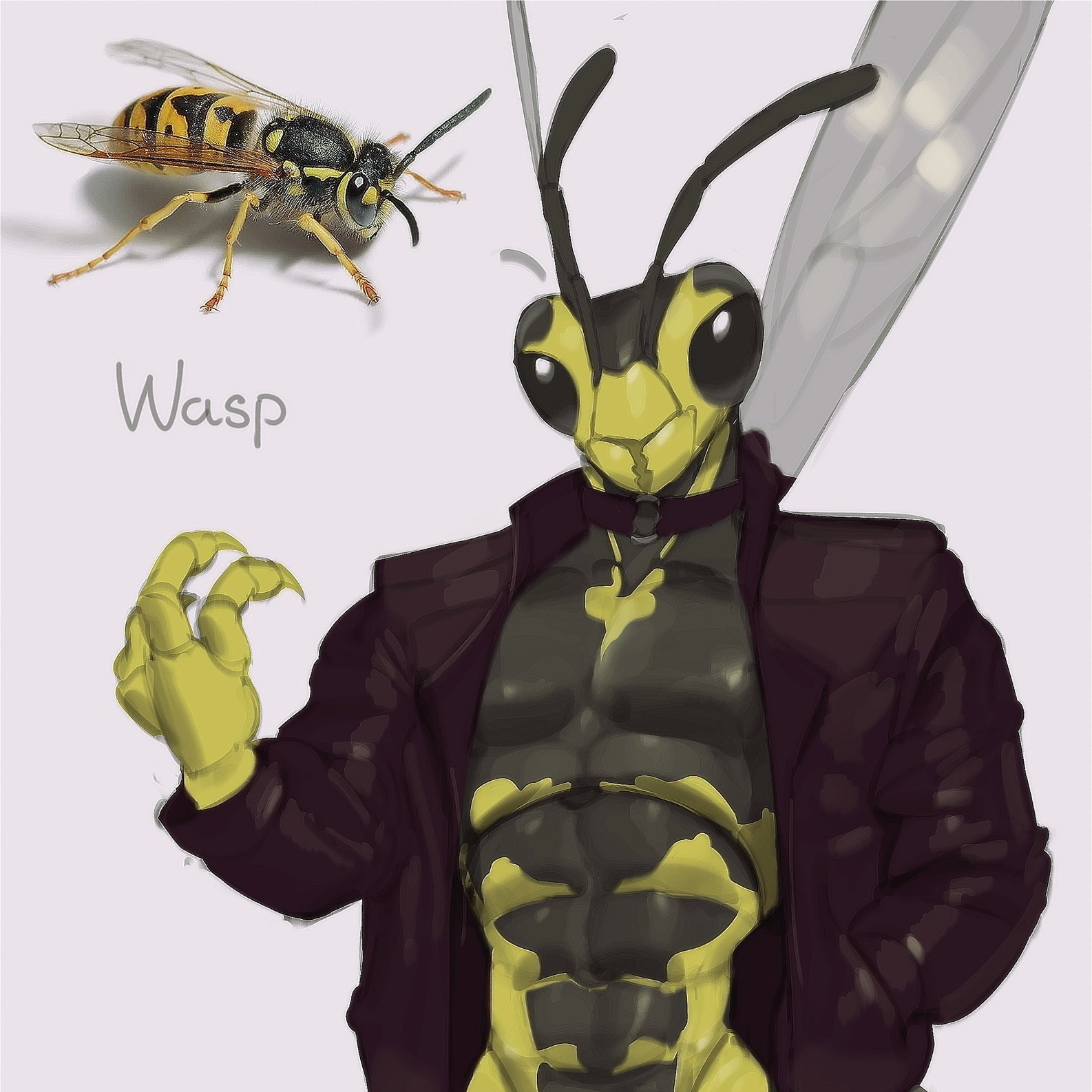 Wasp