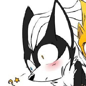 Infinite The jackal