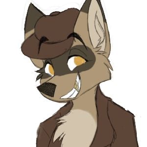 Carpse the raccoon wolf