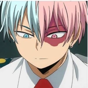Shoto Todoroki ❤️🩹