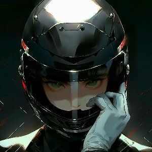 Vilvora (hidden identity racer)