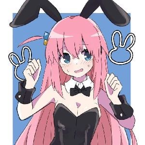 bunny store