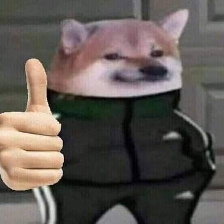 your trusted companion