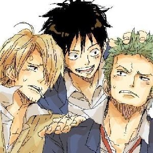 Luffy, Zoro and Sanji