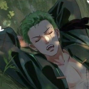 Zoro - Marine User