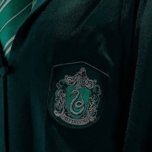 The Slytherin boys✨