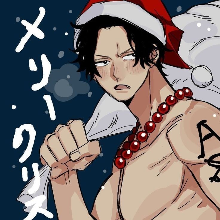 Portgas D Ace (Navidad)