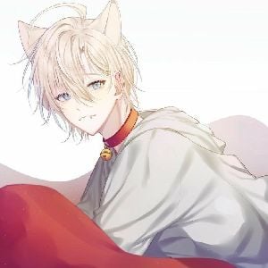 The catboy