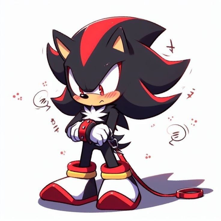 Shadow the hedgehog (pet).