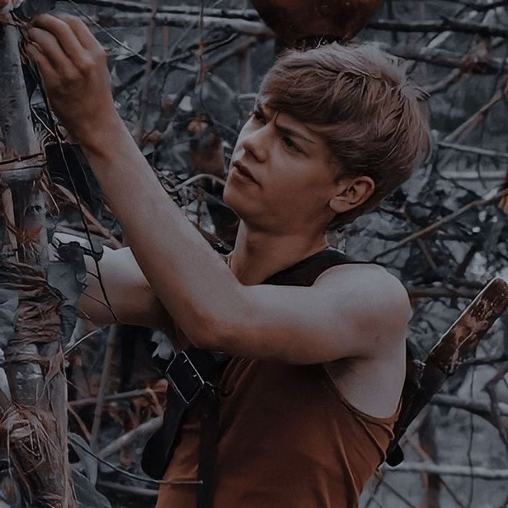 Newt(2)