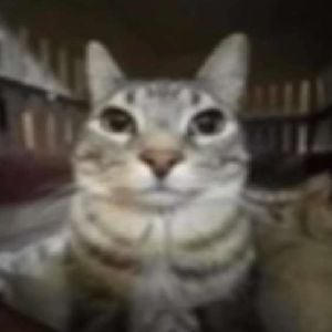 use redemption code 3K2X3Z
