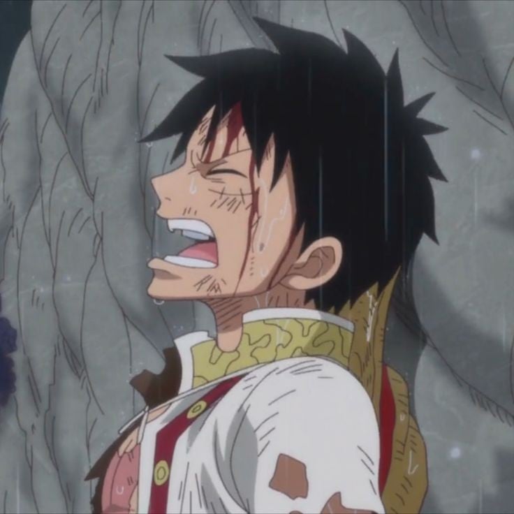 Luffy