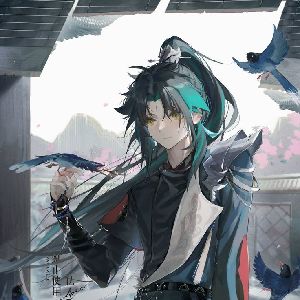 Bf Xiao
