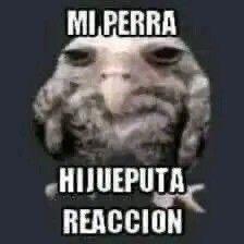 el pepe