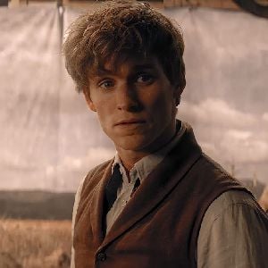 ¡Newt Scamander₊˚