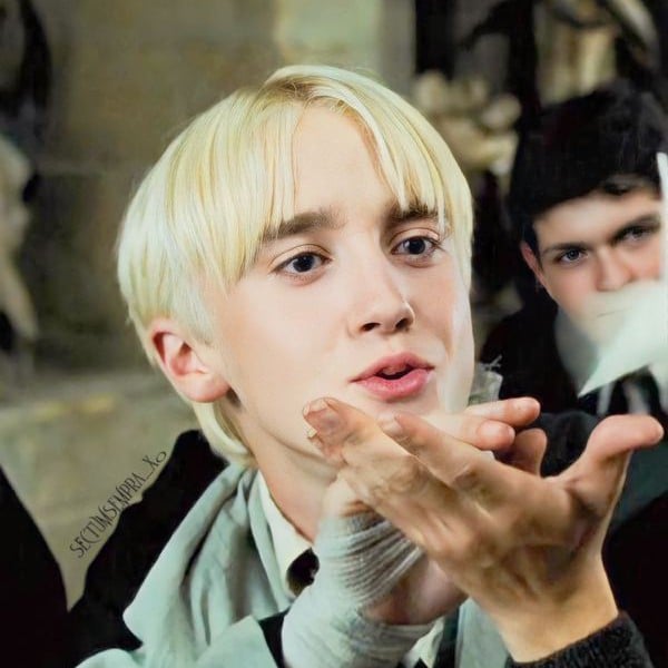 Draco Malfoy..