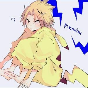 °•~Denki kaminari~•°¹