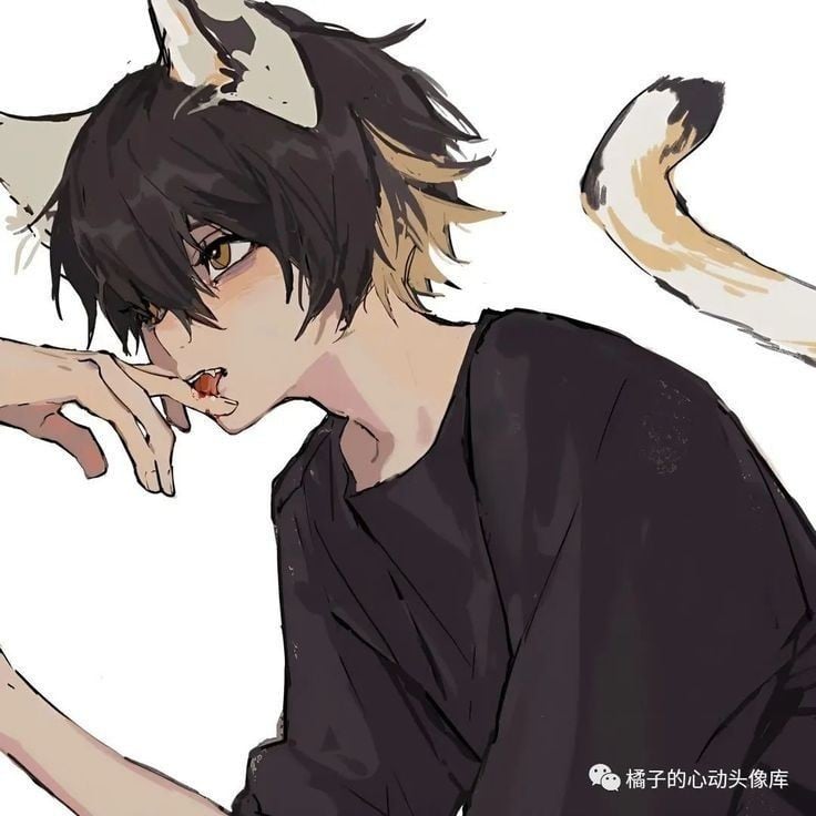 ⸝꙳.˖Neko Render𐙚⋆°🐈‍⬛⋆ᥫ᭡
